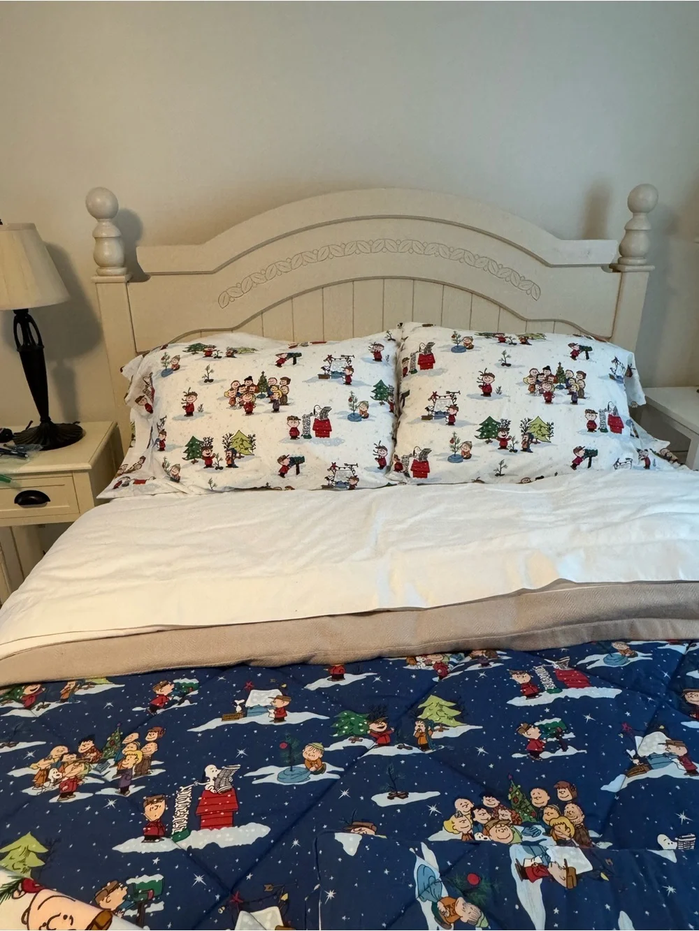 Pottery Barn Holiday Peanuts Character Pillowcases (2) standard